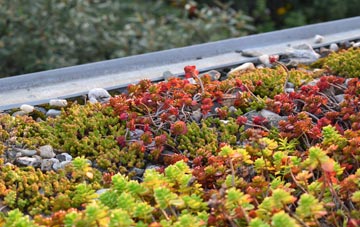 the cost of Inveresk green roof installation