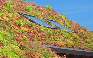 Inveresk living roof systems