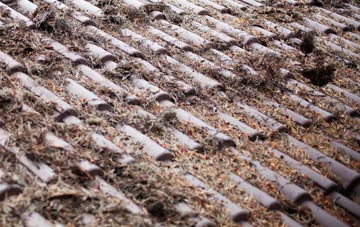 Inveresk roof cleaning companies